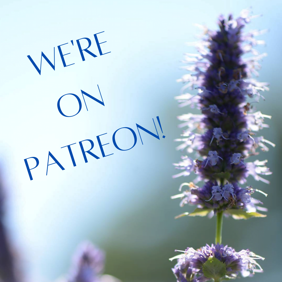 test store maintenance