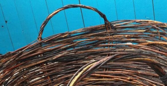 Willow Basket Making