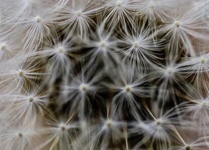 For the Wild Podcast: Letting Land Lead