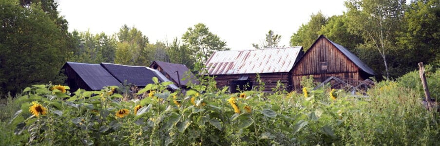 Post- Pandemic Homesteading