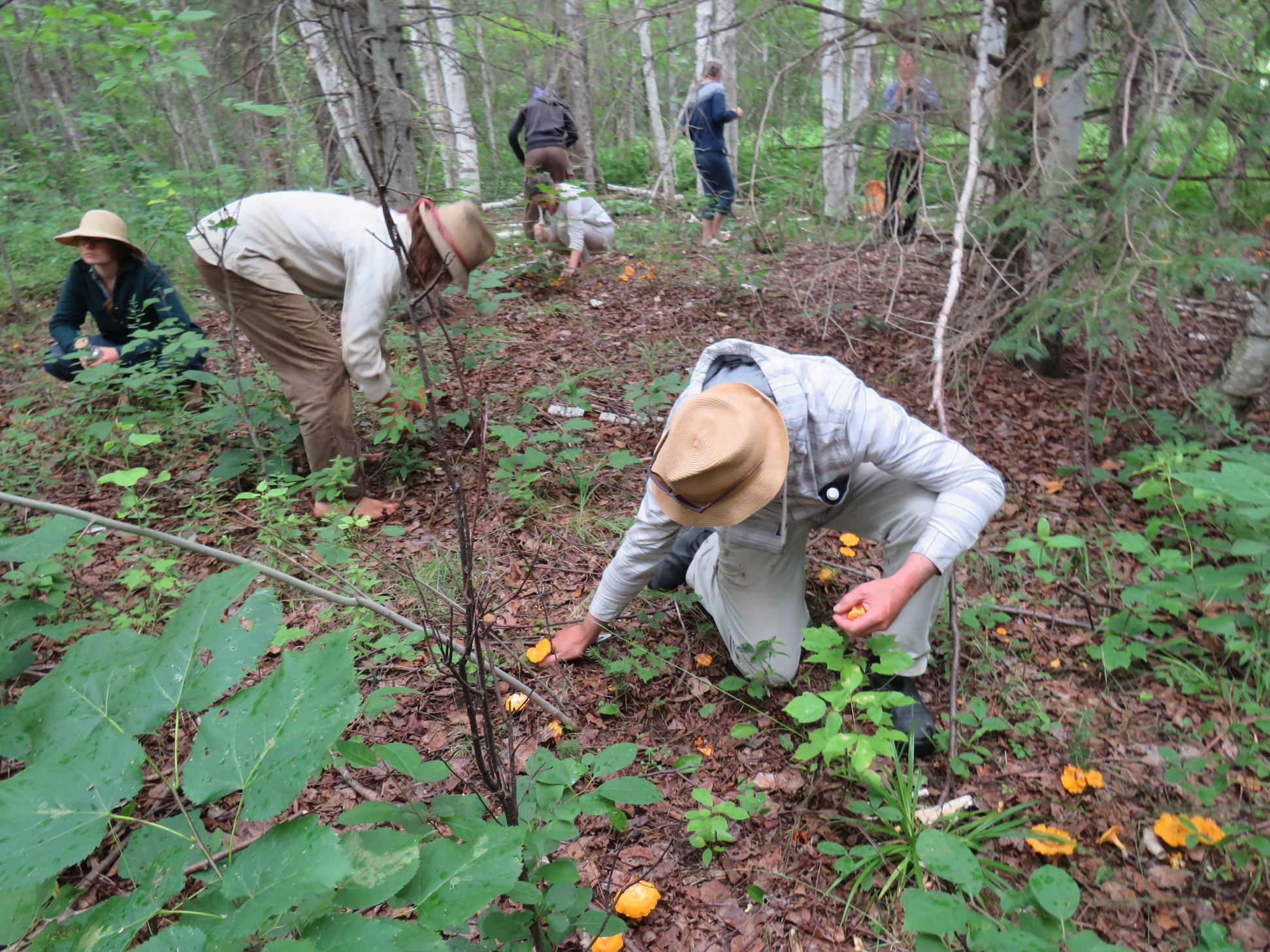 Sacred Gardener School 2026 - Image 10