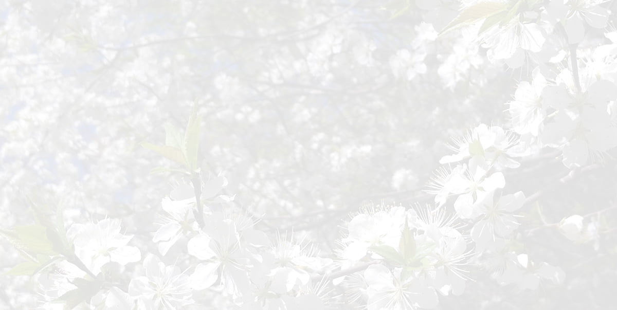 test store maintenance