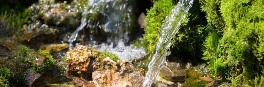 Hope Springs Eternal