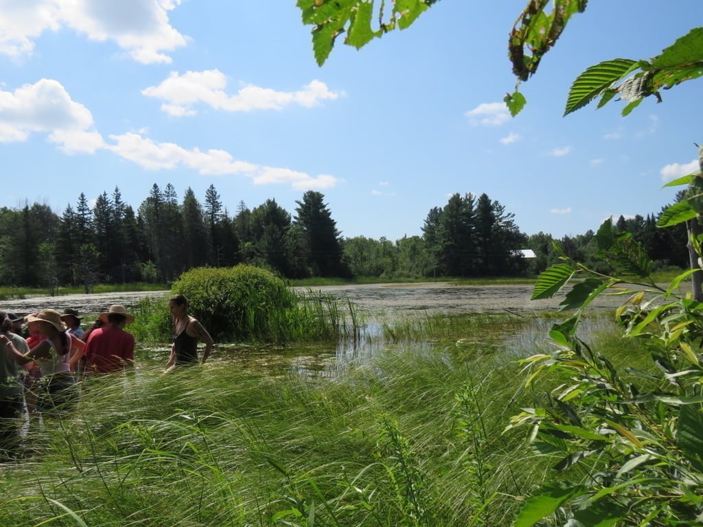 Sacred Gardener School 2026 - Image 8